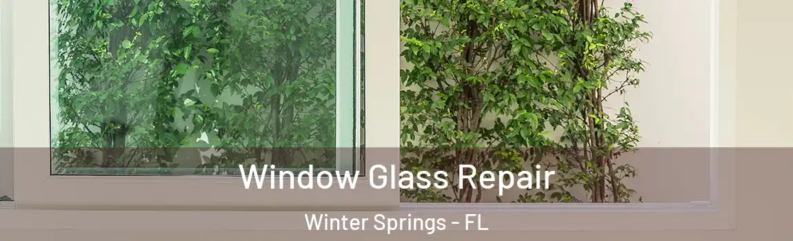  Window Glass Repair Winter Springs - FL
